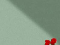 战术奏效！尤文图斯双翼齐飞压制哈兰德整场无力还手！的简单介绍